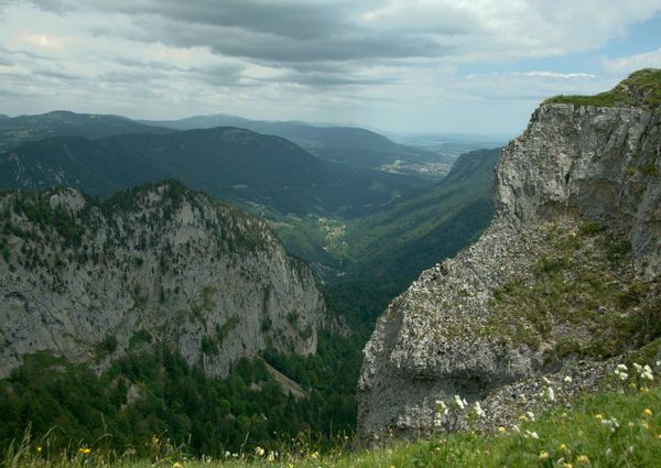 Vue sur une vaste vallée avec des forêts