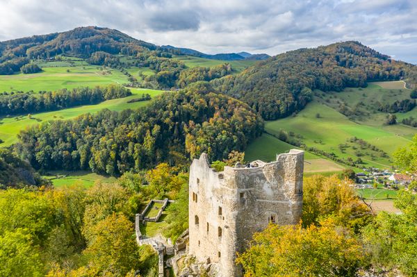 Photo ruines d'un château au milieu des arbres